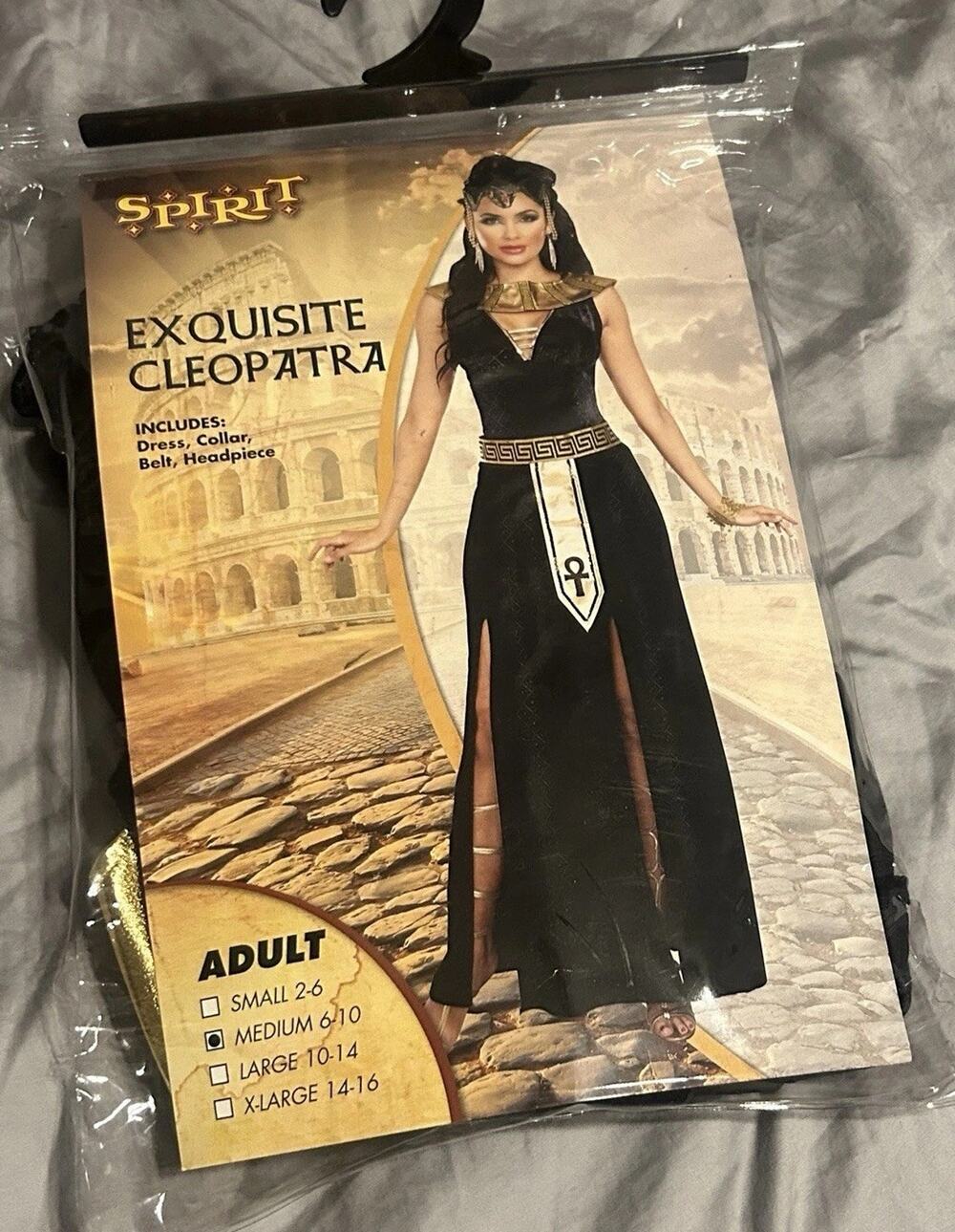Spirit Halloween Exquisite Egyptian Queen Cleopatra Women Adult Costume Medium